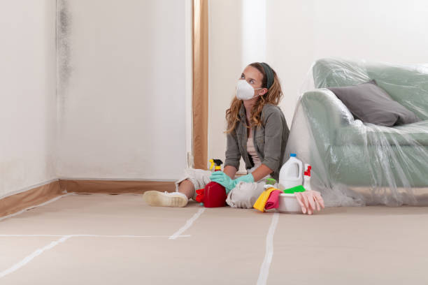 Reliable Mold Cleanup contractor in Farmersville, TX by Cheap Mold Removal